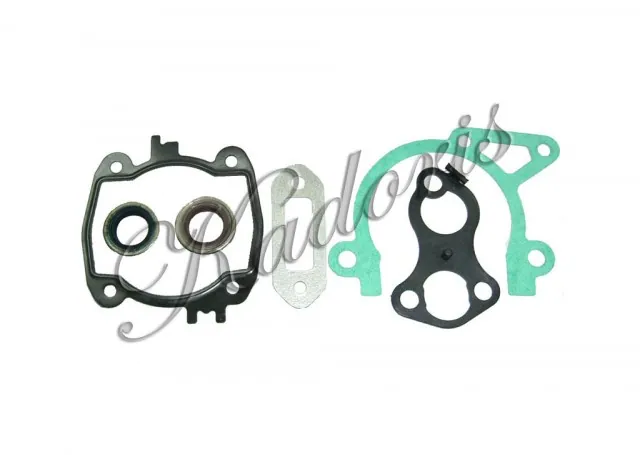 Gasket set with oil seal KIC 54-3518