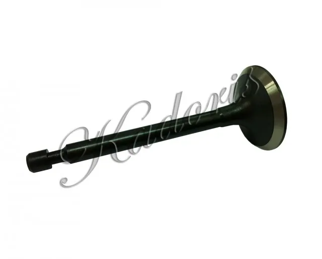 Valve IN KIC 57-6009