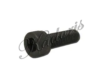 Screw (Muffler) KIC 83-3043