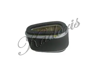 Air filter 15-4003