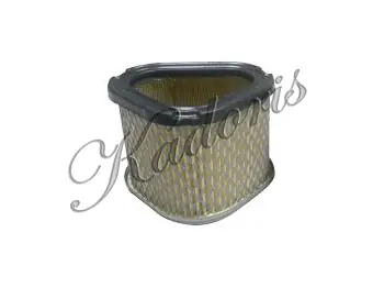 Air filter 15-5009