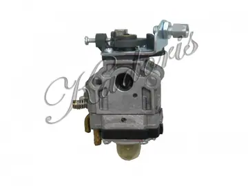 Carburetor 20-6009