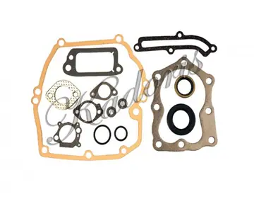 Gasket set 54-1019