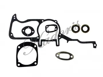 Gasket set 54-3005