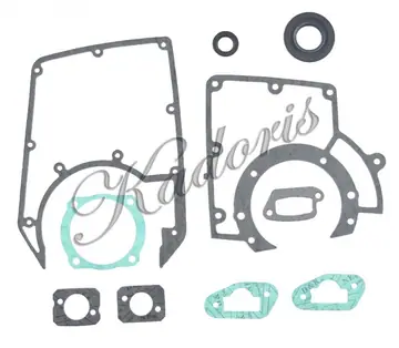 Gasket set with oil seal 54-3523