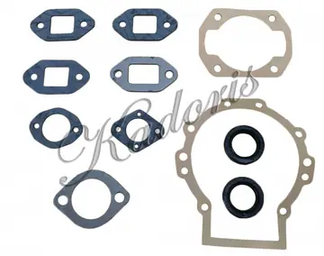 Gasket set 54-9501