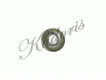 Clutch washer 66-3031