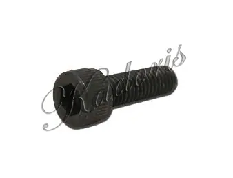 Screw (Muffler) 83-3043